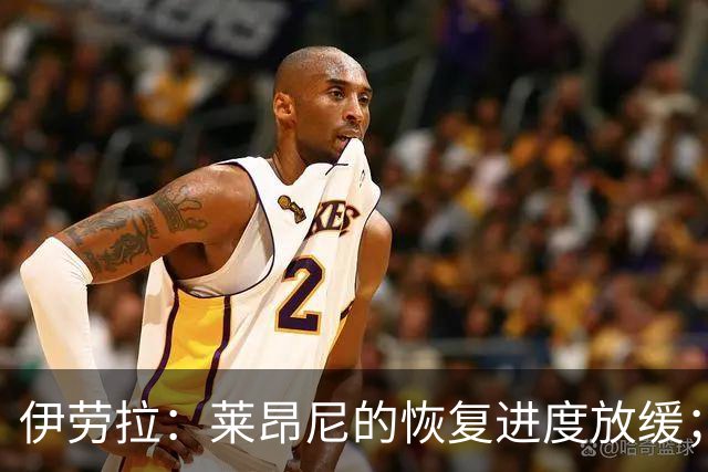 伊劳拉：莱昂尼的恢复进度放缓；维尔茨需适应多样化比赛