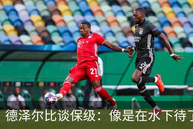 德泽尔比谈保级：像是在水下待了50天 我们必须建立新的热刺